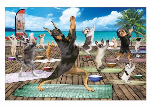 xxl-pieces-yoga-spa-jigsaw-puzzle-500-pieces.79773-1_.fs_.jpg