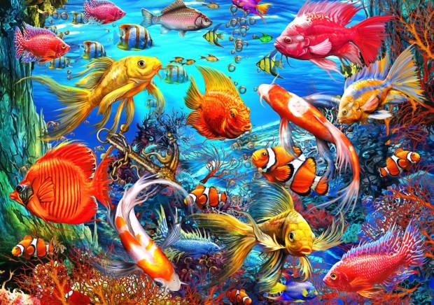 bluebird-puzzle-tropical-fish-jigsaw-puzzle-1500-pieces.64747-1_.fs_.jpg