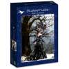 bluebird-puzzle-queen-of-shadows-jigsaw-puzzle-1000-pieces.82258-2_.fs_.jpg