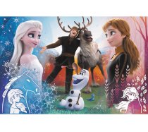 Trefl - 300 darabos - 23006 - The Power of love - Frozen